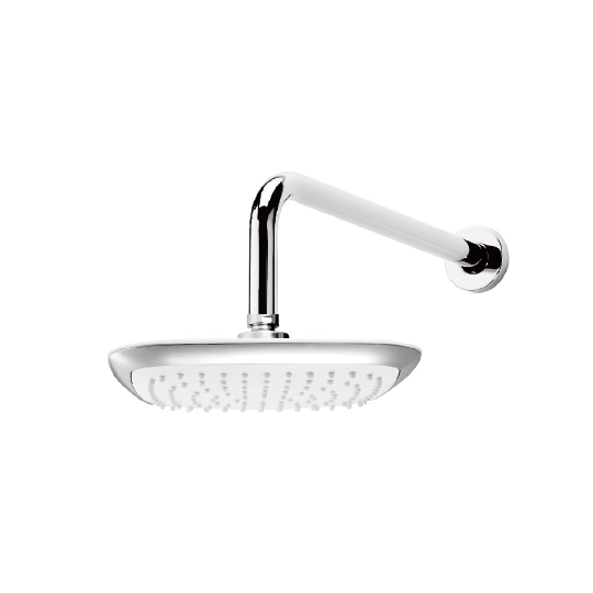 Wall-Mounted Showerhead