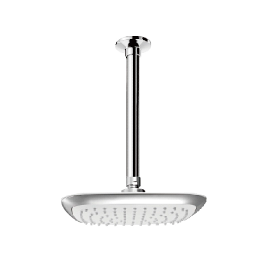 Ceiling-Mounted Showerhead (Plastic)