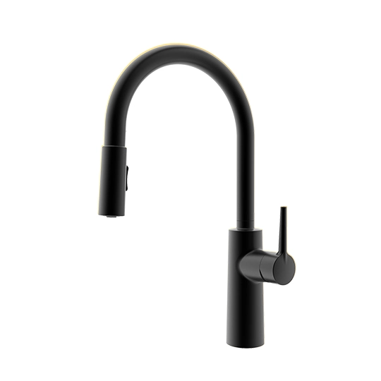 Kitchen Faucet With Pull-Out Sprayer